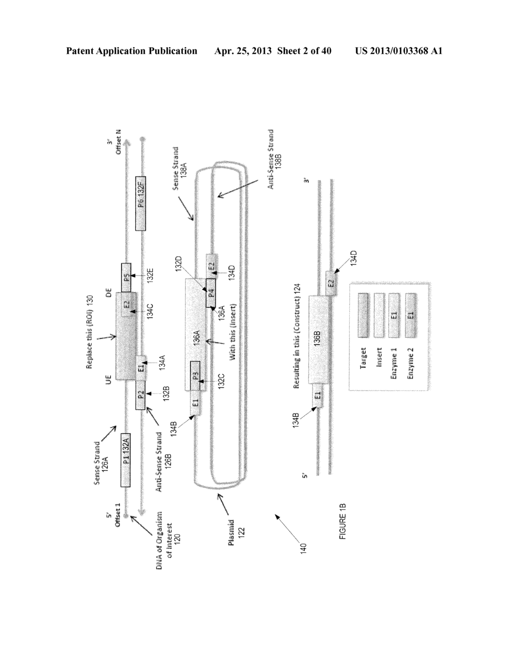 Automated Experimental Design For Polymerase Chain Reaction - diagram, schematic, and image 03