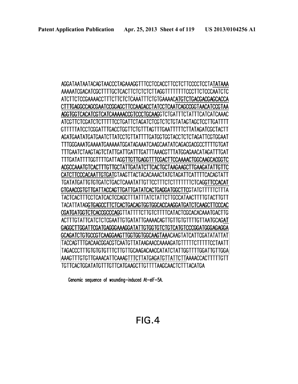 Isolated eIF-5A and Polynucleotides Encoding Same - diagram, schematic, and image 05