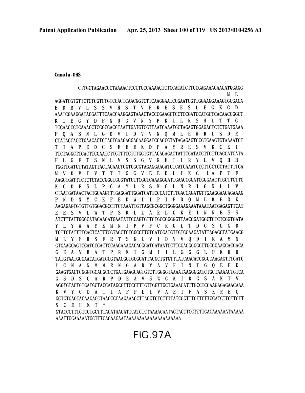 Isolated eIF-5A and Polynucleotides Encoding Same - diagram, schematic, and image 101