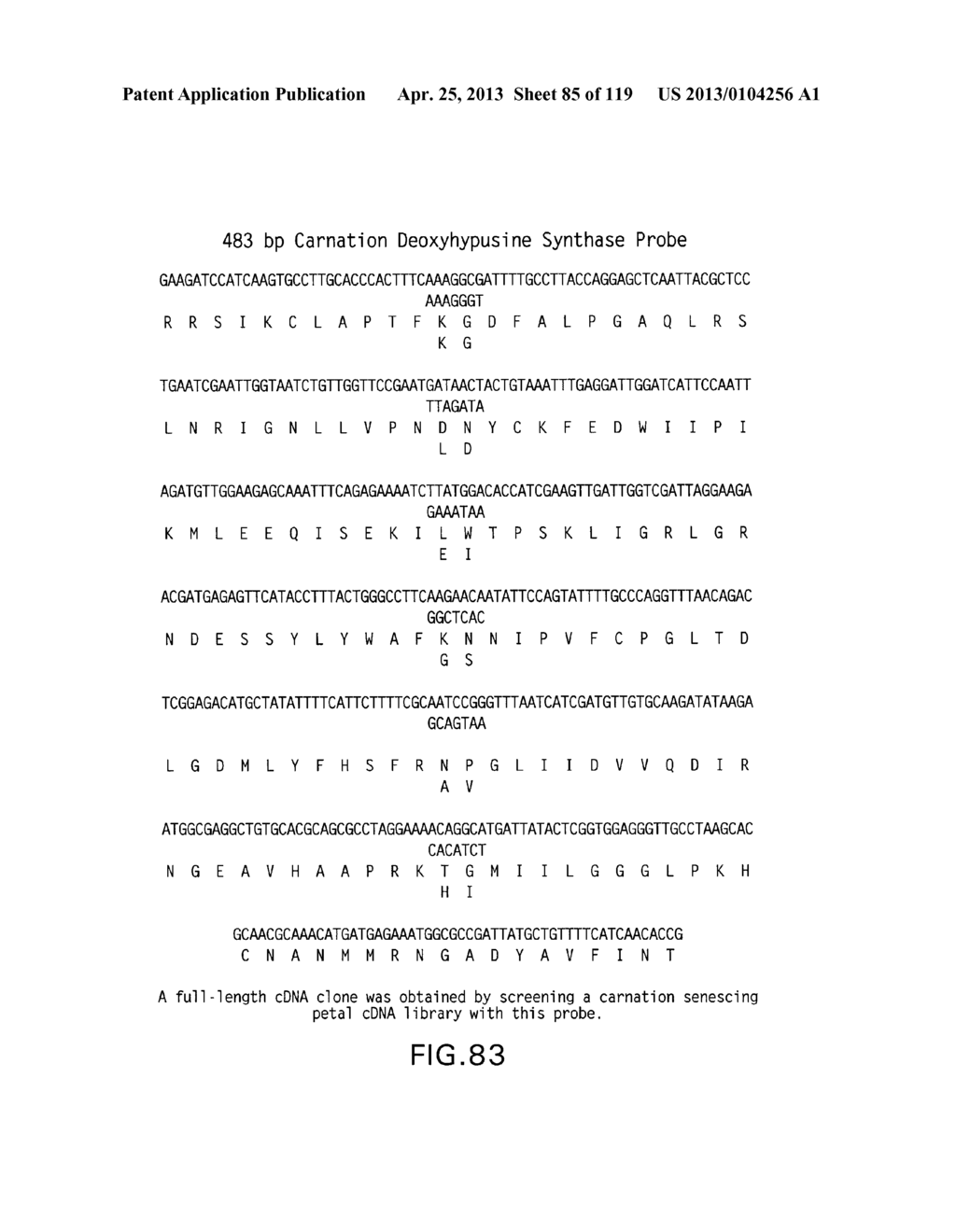 Isolated eIF-5A and Polynucleotides Encoding Same - diagram, schematic, and image 86