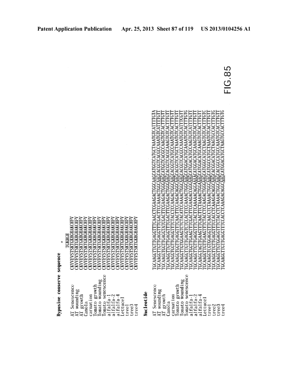 Isolated eIF-5A and Polynucleotides Encoding Same - diagram, schematic, and image 88