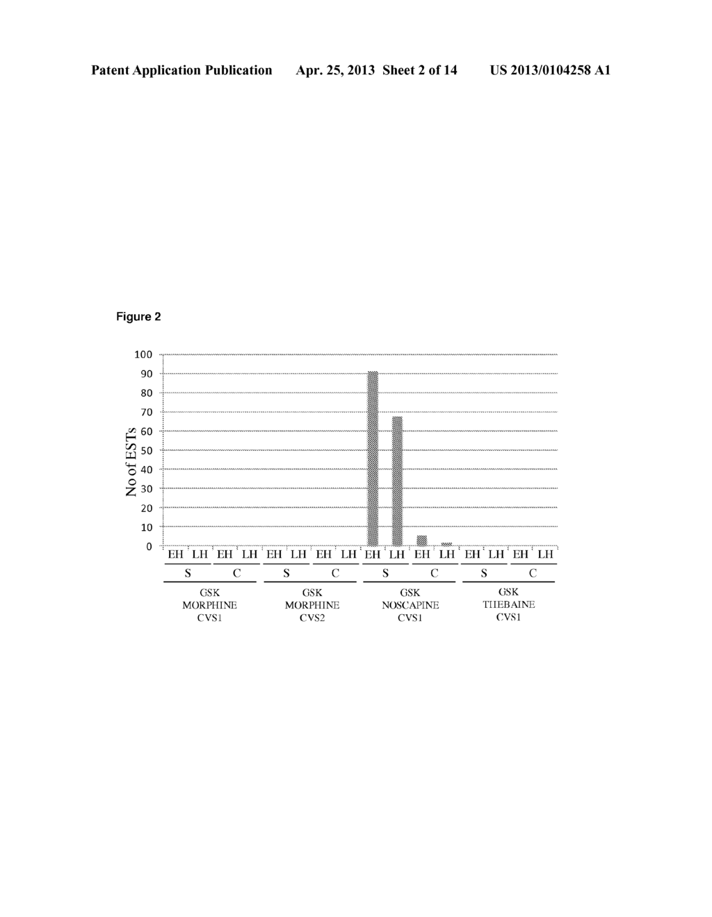 METHYLTRANSFERASE NUCLEIC ACIDS AND POLYPEPTIDES - diagram, schematic, and image 03