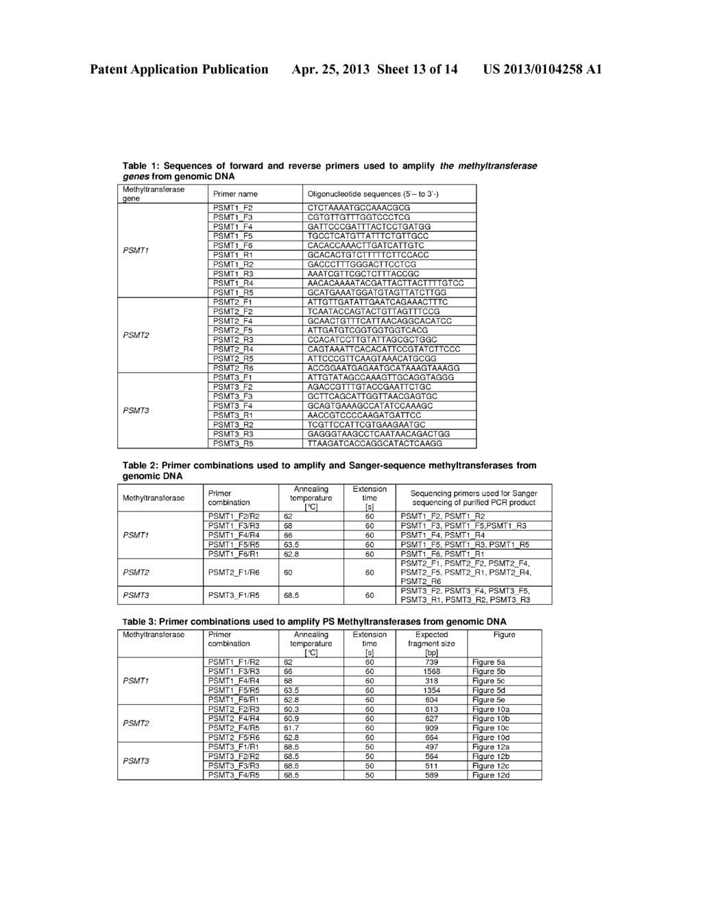 METHYLTRANSFERASE NUCLEIC ACIDS AND POLYPEPTIDES - diagram, schematic, and image 14