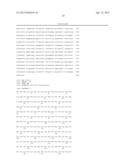 AXMI-115, AXMI-113, AXMI-005, AXMI-163 AND AXMI-184: INSECTICIDAL PROTEINS     AND METHODS FOR THEIR USE diagram and image