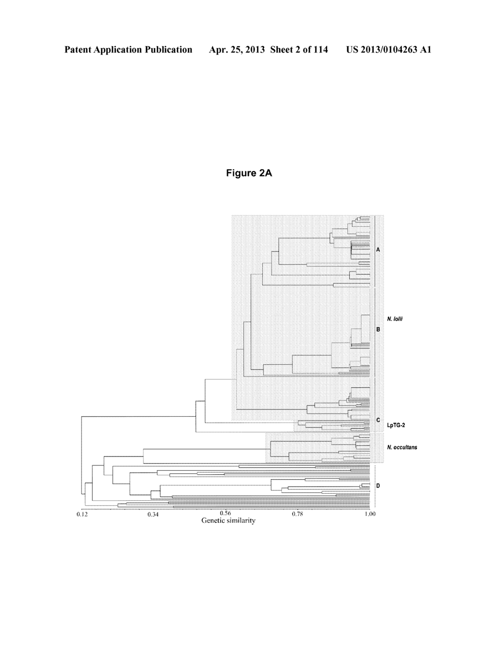 Endophytes and related methods - diagram, schematic, and image 03