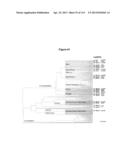 Endophytes and related methods diagram and image