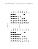 Endophytes and related methods diagram and image