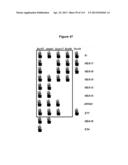 Endophytes and related methods diagram and image