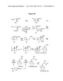 Endophytes and related methods diagram and image