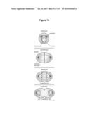 Endophytes and related methods diagram and image