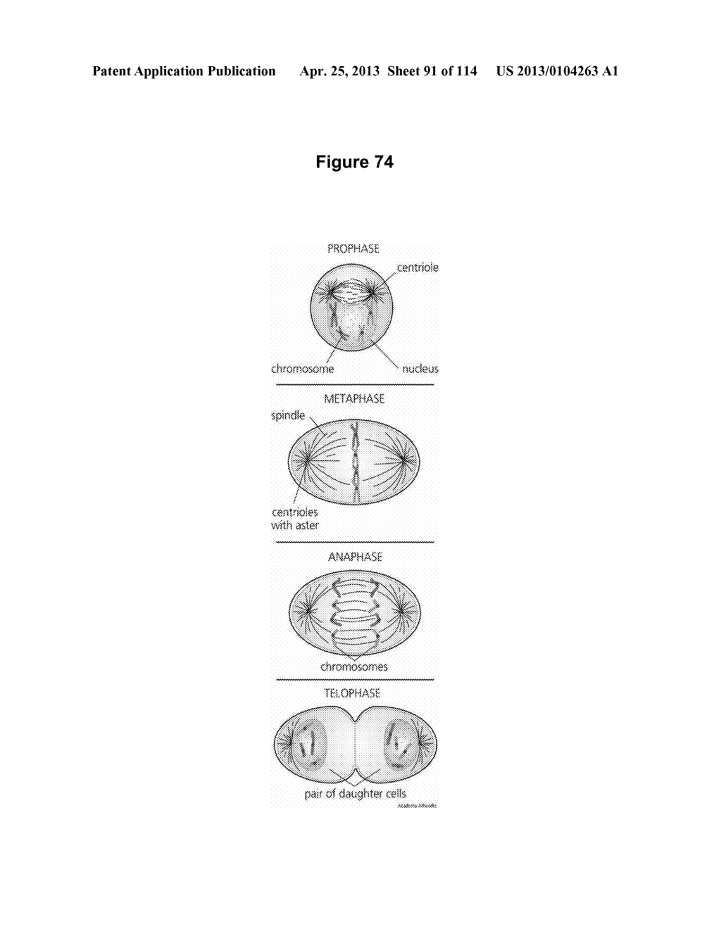 Endophytes and related methods - diagram, schematic, and image 92