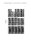 Endophytes and related methods diagram and image