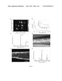 MICROBIOSENSORS BASED ON DNA MODIFIED SINGLE-WALLED CARBON NANOTUBE AND PT     BLACK NANOCOMPOSITES diagram and image