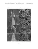 MICROBIOSENSORS BASED ON DNA MODIFIED SINGLE-WALLED CARBON NANOTUBE AND PT     BLACK NANOCOMPOSITES diagram and image