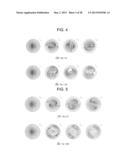 FILTERING APPARATUS HAVING FIXED-TYPE CHAOS-FLOW INDUCER diagram and image