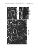 MAGNETIC RESONANCE ANALYSIS USING A PLURALITY OF PAIRS OF BIPOLAR GRADIENT     PULSES diagram and image