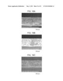 LIQUID EJECTING HEAD, LIQUID EJECTING APPARATUS AND PIEZOELECTRIC ELEMENT diagram and image