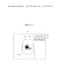 NAIL PRINT APPARATUS INCLUDING DISPLAY CONTROL UNIT WHICH DISTINGUISHES     BETWEEN PRINTED REGION AND NON-PRINTED REGION IN FINGERNAIL UNDER     PRINTING TO DISPLAY FINGERNAIL diagram and image