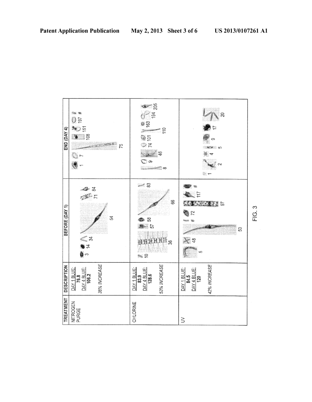 METHOD OF TREATMENT ANALYSIS WITH PARTICLE IMAGING - diagram, schematic, and image 04