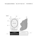 SYSTEM, METHOD AND COMPUTER-ACCESSIBLE MEDIUM FOR PERFORMING     ATTENUATION-CORRECTED MULTISPECTRAL LUMINESCENECE TOMOGRAPHY OF CERENKOV     AND BIOLUMINESCENT LIGHT SOURCES diagram and image