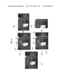 Image Recomposition From Face Detection And Facial Features diagram and image