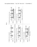 INFORMATION PROCESSING DEVICE, INFORMATION PROCESSING METHOD, PROGRAM,     RECORDING MEDIUM, AND INTEGRATED CIRCUIT diagram and image