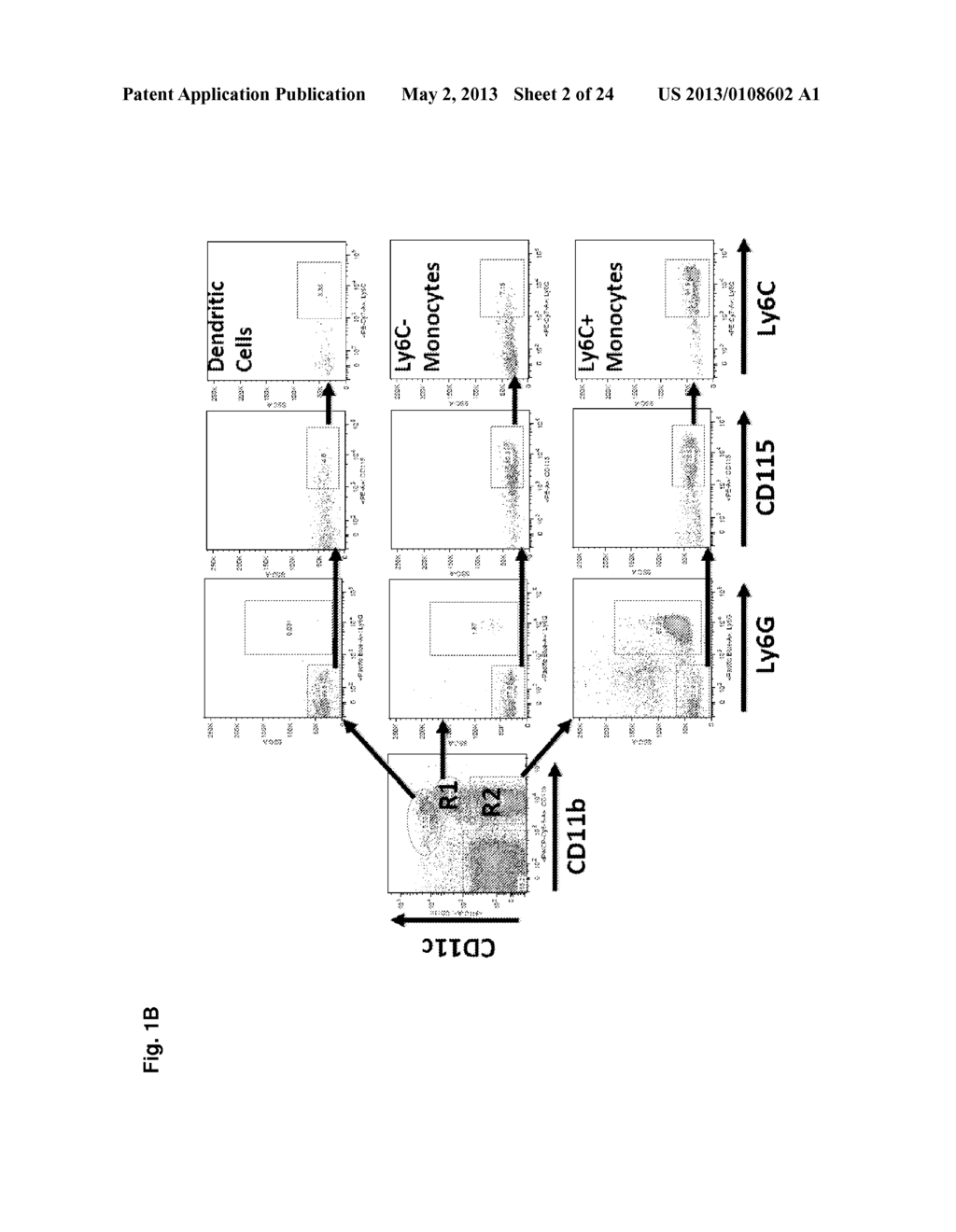 METHODS AND USES OF NUR77 AND NUR77 AGONISTS TO MODULATE MACROPHAGES AND     MONOCYTES, AND TREAT INFLAMMATION, INFLAMMATORY DISEASE AND     CARDIOVASCULAR DISEASE - diagram, schematic, and image 03