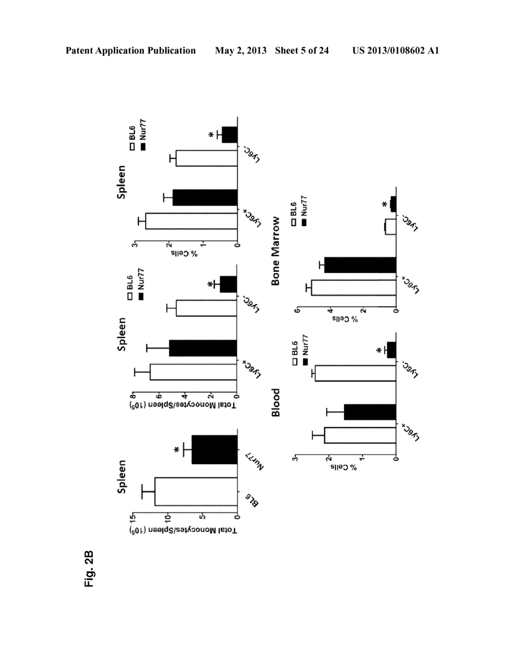 METHODS AND USES OF NUR77 AND NUR77 AGONISTS TO MODULATE MACROPHAGES AND     MONOCYTES, AND TREAT INFLAMMATION, INFLAMMATORY DISEASE AND     CARDIOVASCULAR DISEASE - diagram, schematic, and image 06