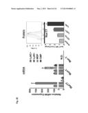 METHODS AND USES OF NUR77 AND NUR77 AGONISTS TO MODULATE MACROPHAGES AND     MONOCYTES, AND TREAT INFLAMMATION, INFLAMMATORY DISEASE AND     CARDIOVASCULAR DISEASE diagram and image