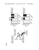 METHODS AND USES OF NUR77 AND NUR77 AGONISTS TO MODULATE MACROPHAGES AND     MONOCYTES, AND TREAT INFLAMMATION, INFLAMMATORY DISEASE AND     CARDIOVASCULAR DISEASE diagram and image