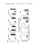 METHODS AND USES OF NUR77 AND NUR77 AGONISTS TO MODULATE MACROPHAGES AND     MONOCYTES, AND TREAT INFLAMMATION, INFLAMMATORY DISEASE AND     CARDIOVASCULAR DISEASE diagram and image