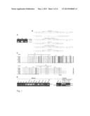 TRANSMEMBRANE PROSTATIC ACID PHOSPHATASE diagram and image