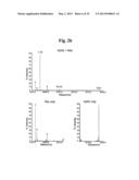 AMYLOID-BETA CLEARANCE diagram and image