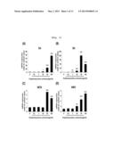 ASTHMA DIAGNOSIS USING THE NEUROPILIN-1 GENE, AND METHOD FOR SCREENING FOR     A THERAPEUTIC AGENT FOR ASTHMA diagram and image