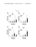 ASTHMA DIAGNOSIS USING THE NEUROPILIN-1 GENE, AND METHOD FOR SCREENING FOR     A THERAPEUTIC AGENT FOR ASTHMA diagram and image