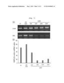 ASTHMA DIAGNOSIS USING THE NEUROPILIN-1 GENE, AND METHOD FOR SCREENING FOR     A THERAPEUTIC AGENT FOR ASTHMA diagram and image