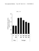 ASTHMA DIAGNOSIS USING THE NEUROPILIN-1 GENE, AND METHOD FOR SCREENING FOR     A THERAPEUTIC AGENT FOR ASTHMA diagram and image