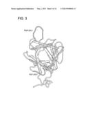 PEPTIDE AND METHOD FOR REDUCING THE PHOSPHATE REQUIREMENT AND EXCRETION     FROM FARM ANIMALS diagram and image