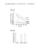 PEPTIDE AND METHOD FOR REDUCING THE PHOSPHATE REQUIREMENT AND EXCRETION     FROM FARM ANIMALS diagram and image