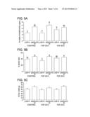 PEPTIDE AND METHOD FOR REDUCING THE PHOSPHATE REQUIREMENT AND EXCRETION     FROM FARM ANIMALS diagram and image