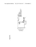 METHODS AND COMPOSITIONS FOR CANCER IMMUNOTHERAPY USING FLAGELLIN-TUMOR     ASSOCIATED ANTIGEN FUSION PROTEIN EXPRESSING TUMOR CELLS diagram and image