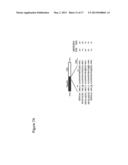 METHODS AND COMPOSITIONS FOR CANCER IMMUNOTHERAPY USING FLAGELLIN-TUMOR     ASSOCIATED ANTIGEN FUSION PROTEIN EXPRESSING TUMOR CELLS diagram and image