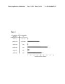 ENHANCING THE T-CELL STIMULATORY CAPACITY OF HUMAN ANTIGEN PRESENTING     CELLS IN VITRO AND IN VIVO AND THEIR USE IN VACCINATION diagram and image