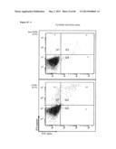 ENHANCING THE T-CELL STIMULATORY CAPACITY OF HUMAN ANTIGEN PRESENTING     CELLS IN VITRO AND IN VIVO AND THEIR USE IN VACCINATION diagram and image