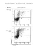 ENHANCING THE T-CELL STIMULATORY CAPACITY OF HUMAN ANTIGEN PRESENTING     CELLS IN VITRO AND IN VIVO AND THEIR USE IN VACCINATION diagram and image