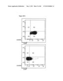 ENHANCING THE T-CELL STIMULATORY CAPACITY OF HUMAN ANTIGEN PRESENTING     CELLS IN VITRO AND IN VIVO AND THEIR USE IN VACCINATION diagram and image