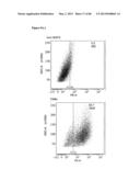 ENHANCING THE T-CELL STIMULATORY CAPACITY OF HUMAN ANTIGEN PRESENTING     CELLS IN VITRO AND IN VIVO AND THEIR USE IN VACCINATION diagram and image