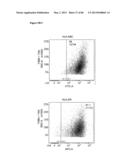 ENHANCING THE T-CELL STIMULATORY CAPACITY OF HUMAN ANTIGEN PRESENTING     CELLS IN VITRO AND IN VIVO AND THEIR USE IN VACCINATION diagram and image