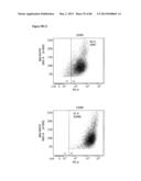 ENHANCING THE T-CELL STIMULATORY CAPACITY OF HUMAN ANTIGEN PRESENTING     CELLS IN VITRO AND IN VIVO AND THEIR USE IN VACCINATION diagram and image