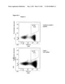 ENHANCING THE T-CELL STIMULATORY CAPACITY OF HUMAN ANTIGEN PRESENTING     CELLS IN VITRO AND IN VIVO AND THEIR USE IN VACCINATION diagram and image